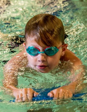 Evergreen Park & Rec