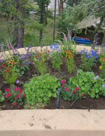 JR’s Landscaping & Property Maintenance Inc.