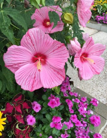 JR’s Landscaping & Property Maintenance Inc.