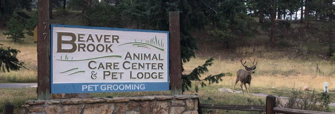 Beaver Brook Pet Center