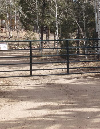 Elk Country Fence