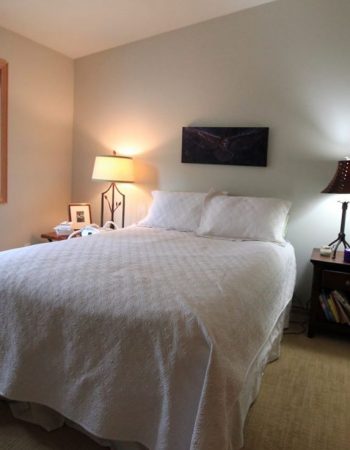 Tricia Bass Beautiful Spaces