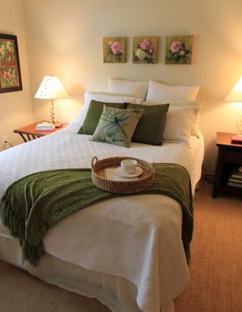 Tricia Bass Beautiful Spaces