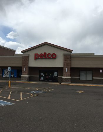 Coyote Construction, Inc.