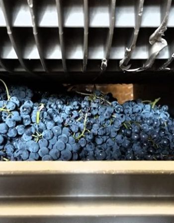 Creekside Cellars, LLC.