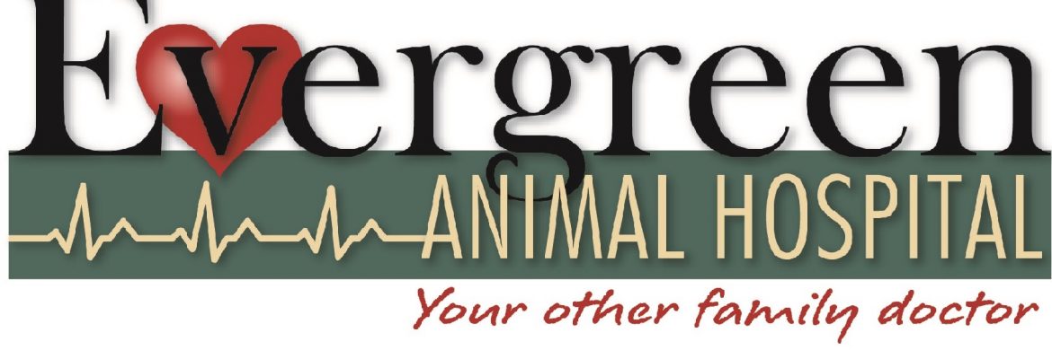 Evergreen Animal Hospital