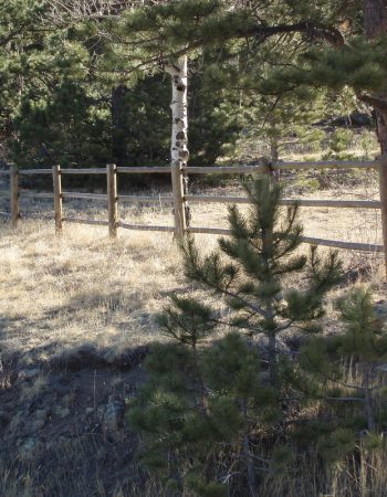 Elk Country Fence