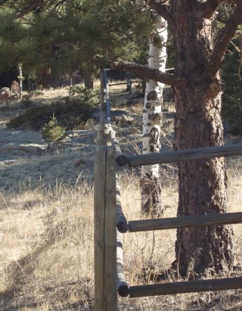 Elk Country Fence