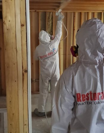 Restoration 1 of West Denver