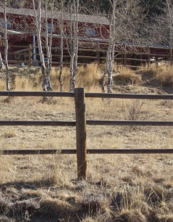 Elk Country Fence