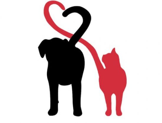 Above & Beyond Pet Care Services