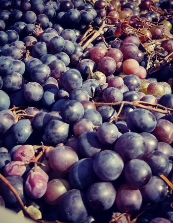 Creekside Cellars, LLC.