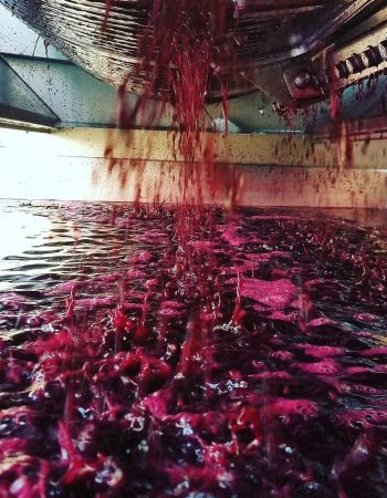 Creekside Cellars, LLC.