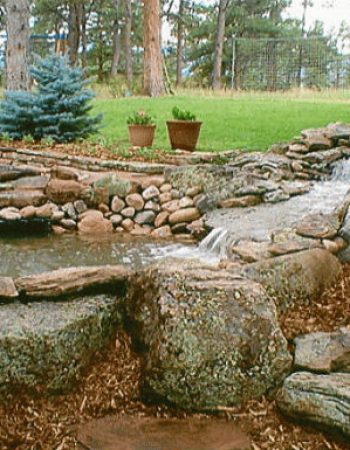 Colorado Nature Design