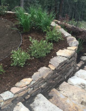 Colorado Nature Design