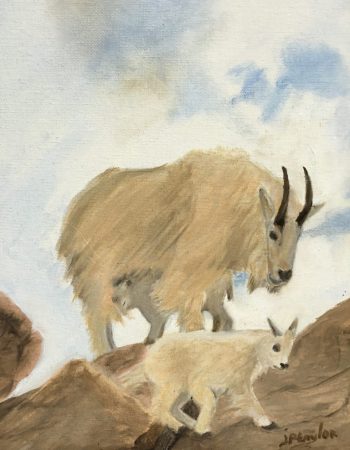 Shadow Mountain Gallery, Inc