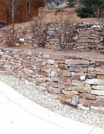 Colorado Nature Design