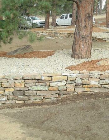 Colorado Nature Design