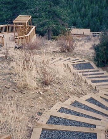 Colorado Nature Design