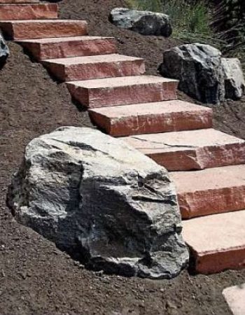 Colorado Nature Design