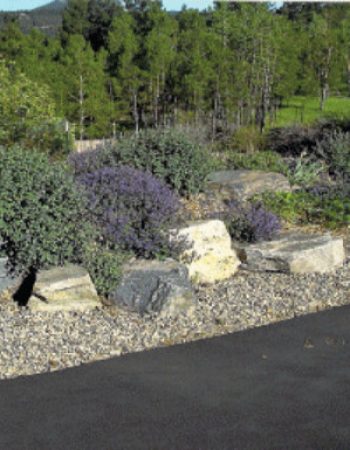 Colorado Nature Design