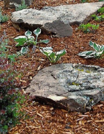 Colorado Nature Design