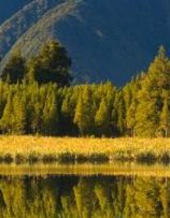 Valentine Seevers & Associates, PC