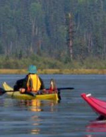 Valentine Seevers & Associates, PC