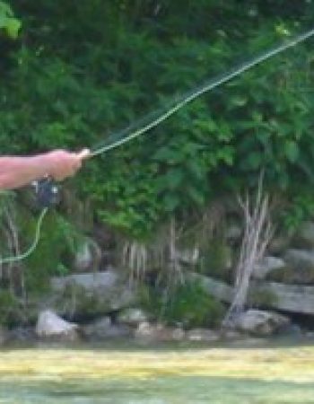 Valentine Seevers & Associates, PC