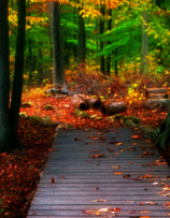 Valentine Seevers & Associates, PC