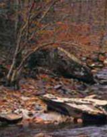 Valentine Seevers & Associates, PC