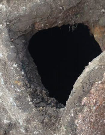 Mountain Drains, LLC.