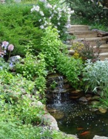 Evergreen Design Center